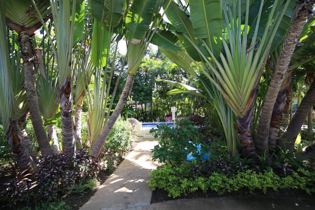 Coco La Palm Hotel Negril Luaran gambar
